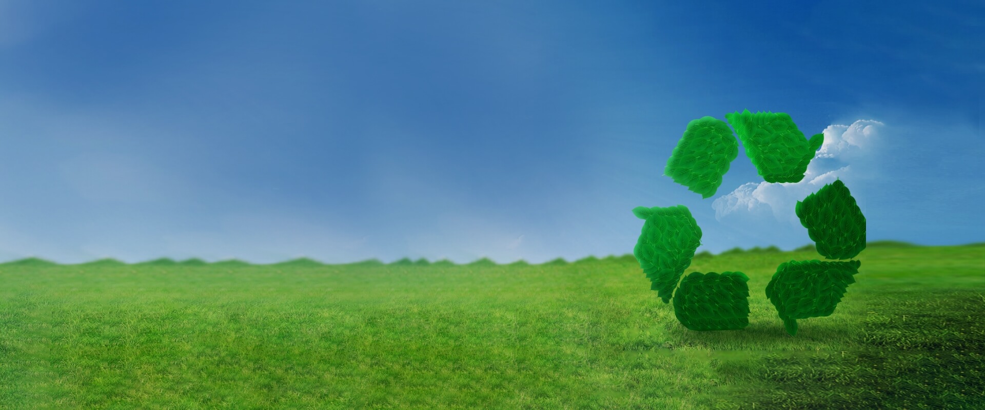 Sustainable Development